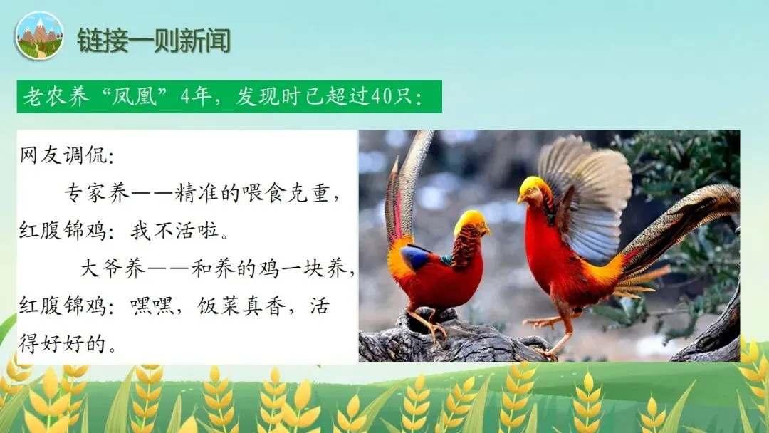 (2025高考真题导入)观种树,知养人——高二选必下《种树郭橐驼传》 第6张