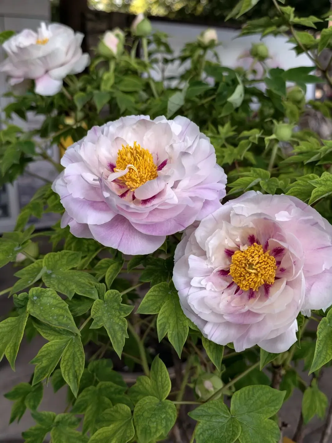 中考凡人微光作文进阶指导范文(七) 第2张