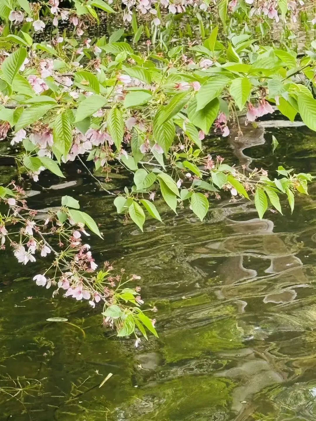 中考凡人微光作文进阶指导范文(七) 第3张