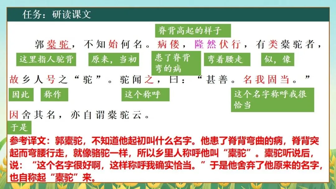 (2025高考真题导入)观种树,知养人——高二选必下《种树郭橐驼传》 第17张