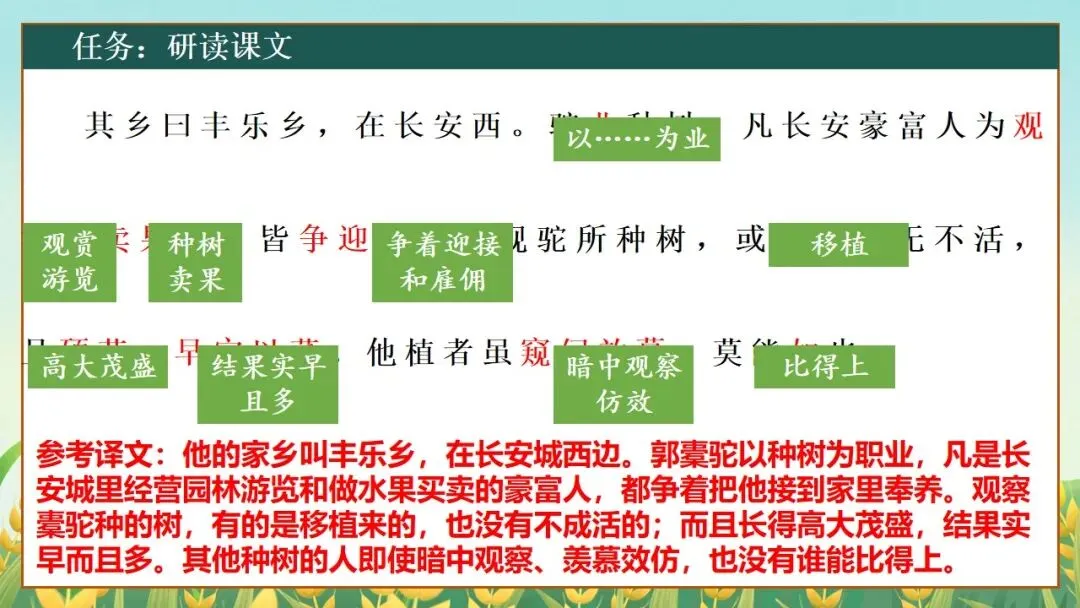 (2025高考真题导入)观种树,知养人——高二选必下《种树郭橐驼传》 第18张