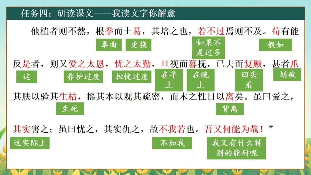(2025高考真题导入)观种树,知养人——高二选必下《种树郭橐驼传》 第21张