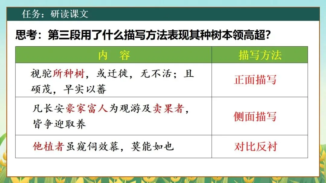 (2025高考真题导入)观种树,知养人——高二选必下《种树郭橐驼传》 第22张