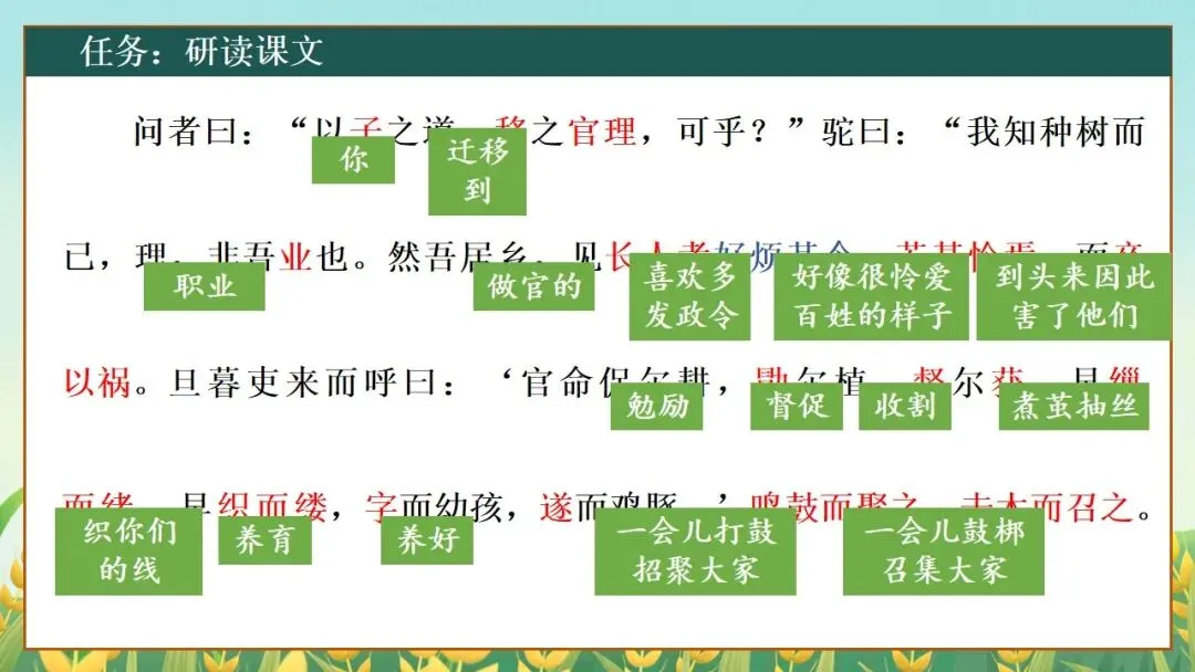 (2025高考真题导入)观种树,知养人——高二选必下《种树郭橐驼传》 第24张