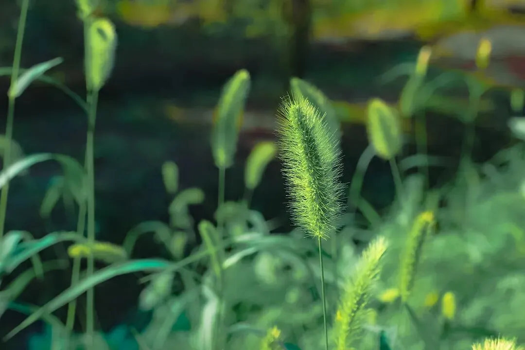 中考作文真题:这份考卷,答得漂亮 第16张