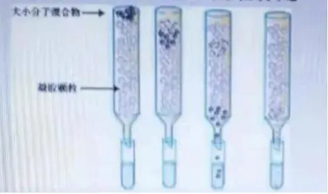 真题分享 | 执兽考试易错题之动物生物化学篇(一) 第4张