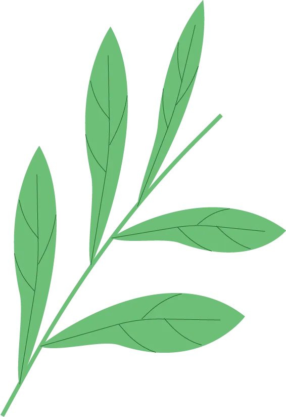 27汉硕考研 || 《现代汉语》真题打卡·day5 第4张