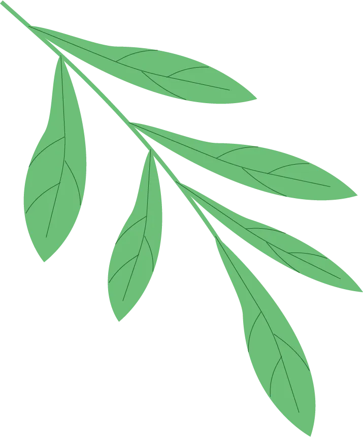 27汉硕考研 || 《现代汉语》真题打卡·day5 第7张