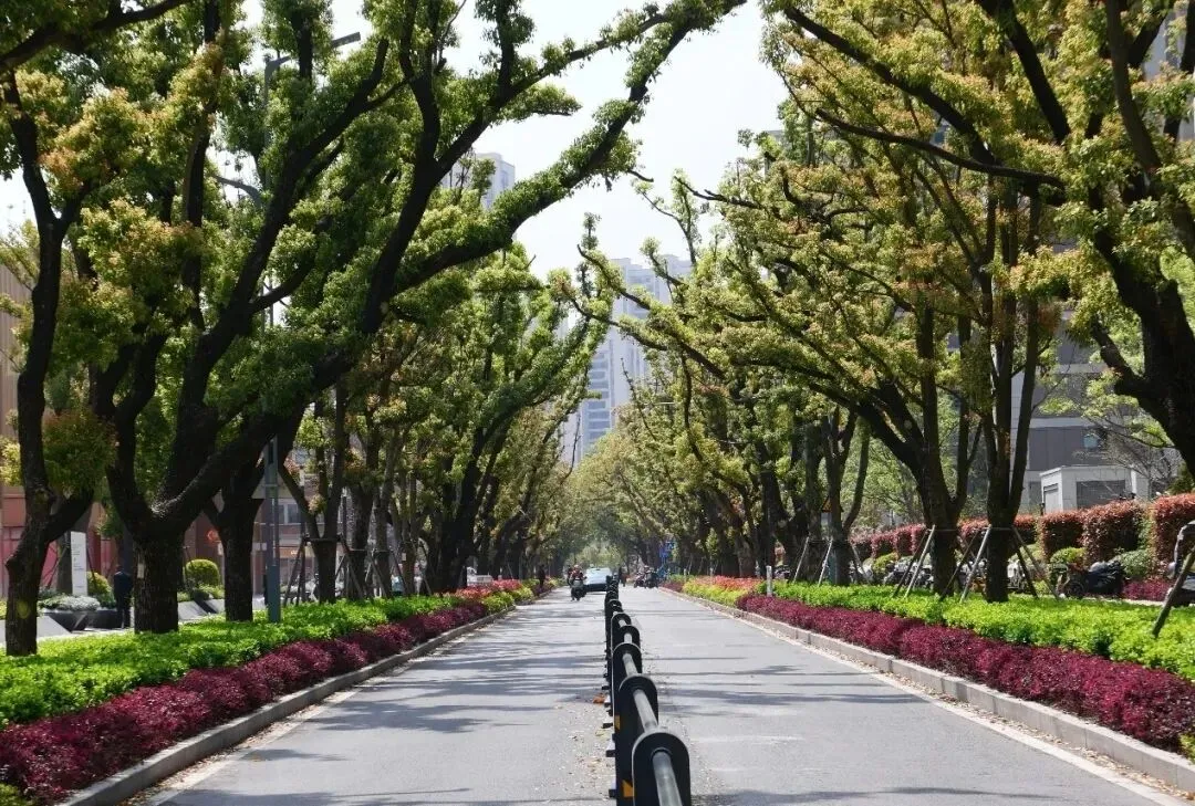 皖智教育2026年七年级下学期期中数学试卷和答案 第5张