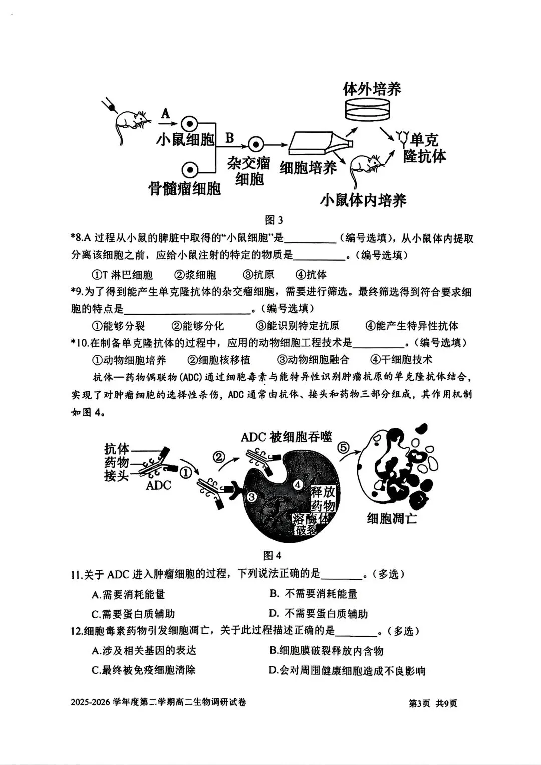 【SH高中四校八大试卷群更新】上海市上海交通大学附属中学2025-2026学年高二下学期第一次调研生物 第3张