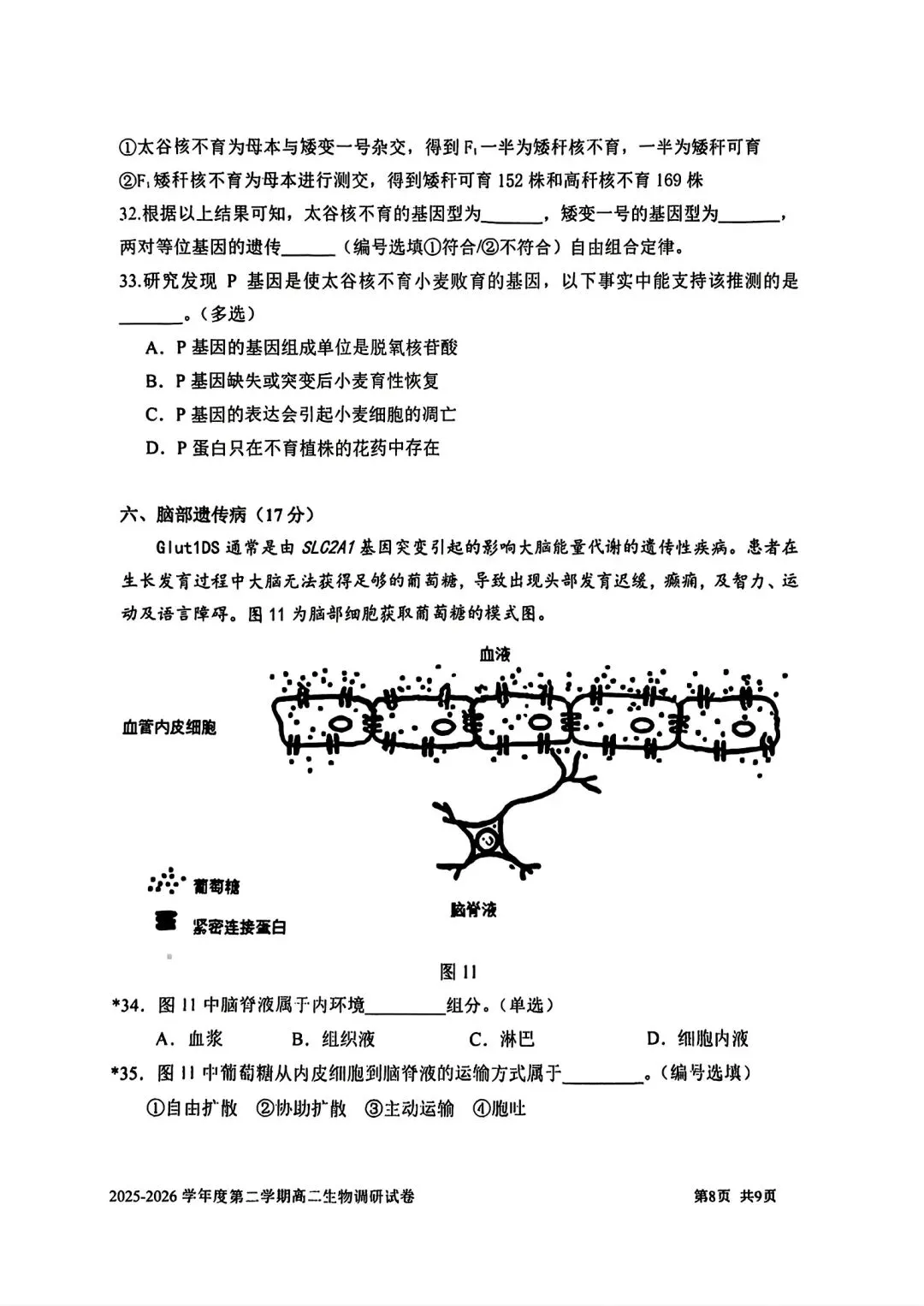【SH高中四校八大试卷群更新】上海市上海交通大学附属中学2025-2026学年高二下学期第一次调研生物 第8张