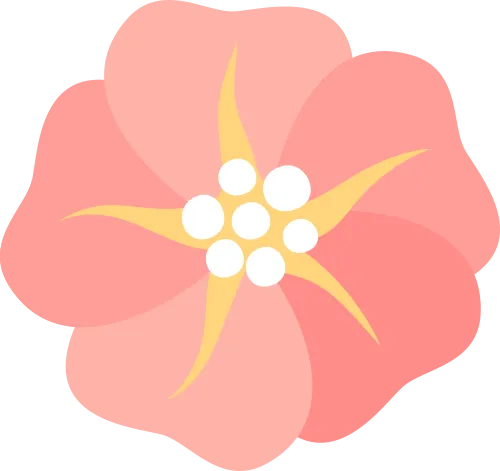 2026年松江区中考二模英语试题(含解析及听力) 第18张