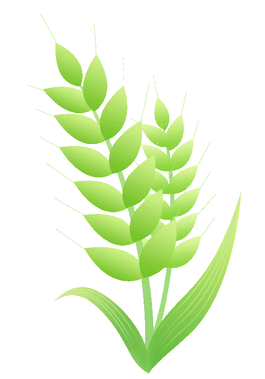 2026年春人教版1-6年级英语期中试卷,电子版可打印 第12张