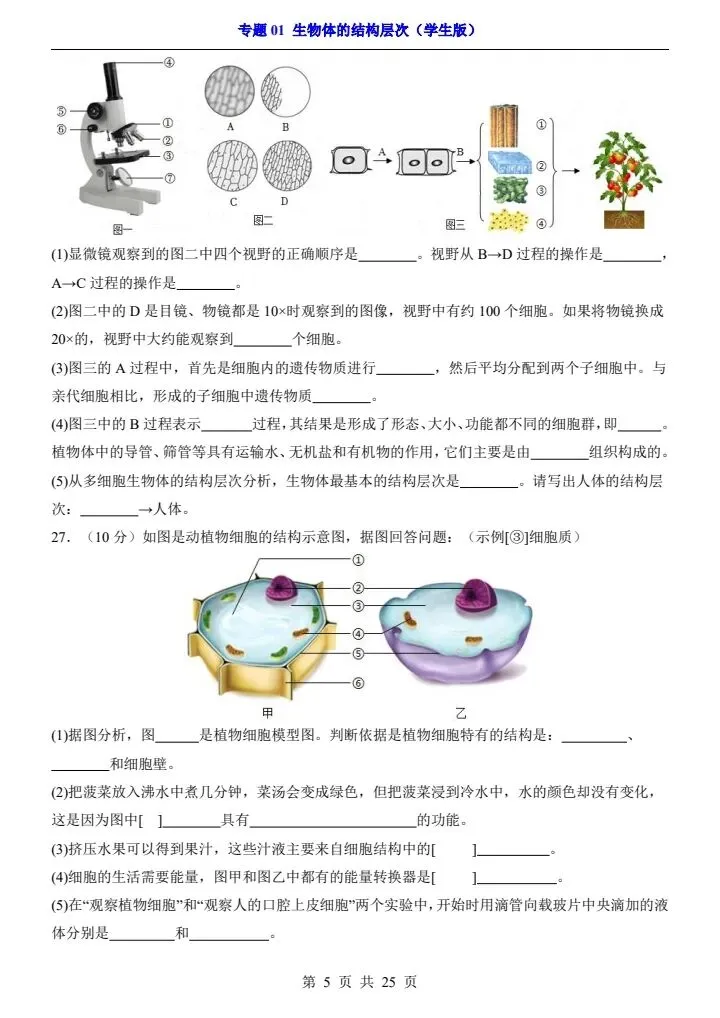 会考真题演练|初中生物《专题 01 生物体的结构层次》 7-9年级 电子版可下载打印 第8张