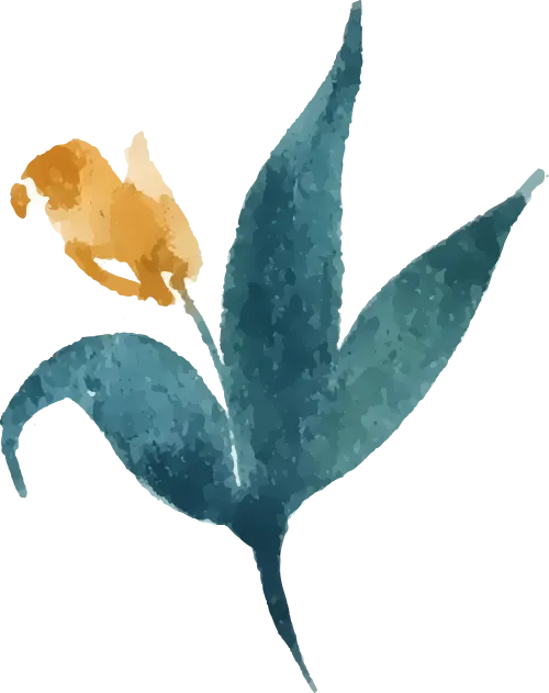 会考真题演练|初中生物《专题 01 生物体的结构层次》 7-9年级 电子版可下载打印 第12张