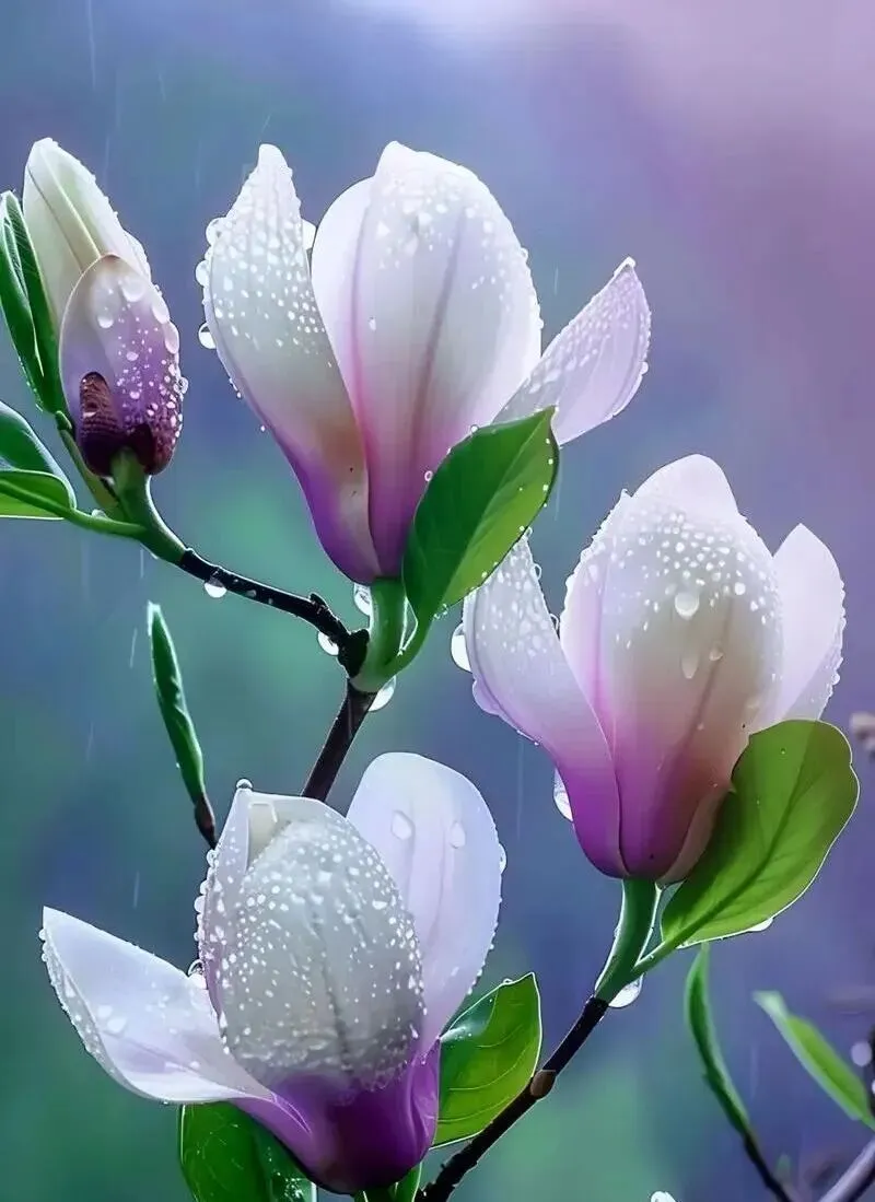 中考英语句式精讲—五大基本句型 第5张