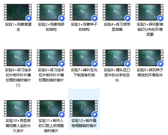 【2026云南中考】实验丢分太可惜!物化生实验考评分标准+操作视频,速领! 第14张