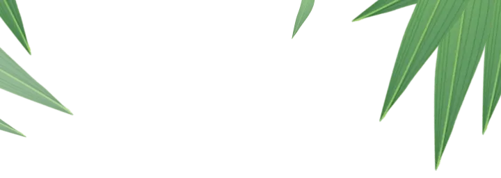 端午、中考遭遇“梅雨季”,这份天气预报请收好,一举高“粽” 第2张