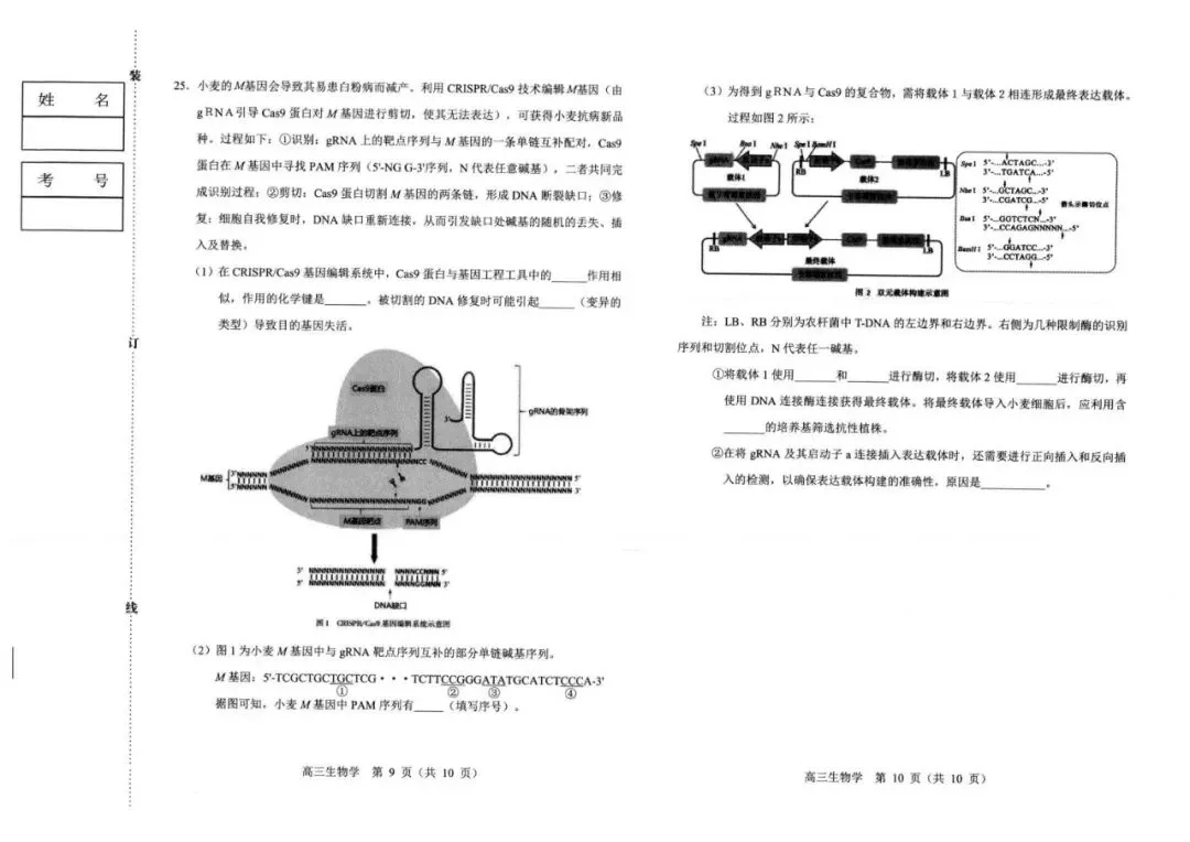 《高中试卷》内蒙古赤峰市2026届高三下学期3月模拟考试生物(含答案) 第7张