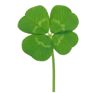 【最新】2026年北京中考一模数学试卷,答案 第9张