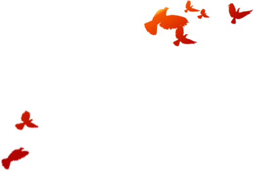 精研中考明方向 聚力备考提质效——六盘水市第二十三中学圆满承办水城区2026届备考系列培训 第6张