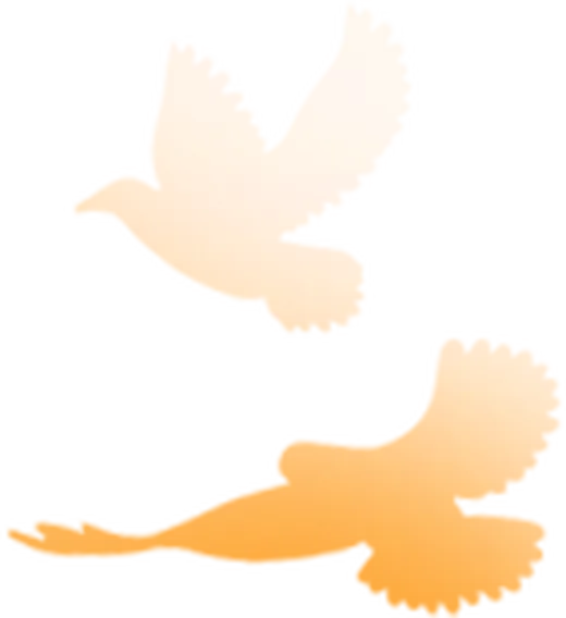 精研中考明方向 聚力备考提质效——六盘水市第二十三中学圆满承办水城区2026届备考系列培训 第7张