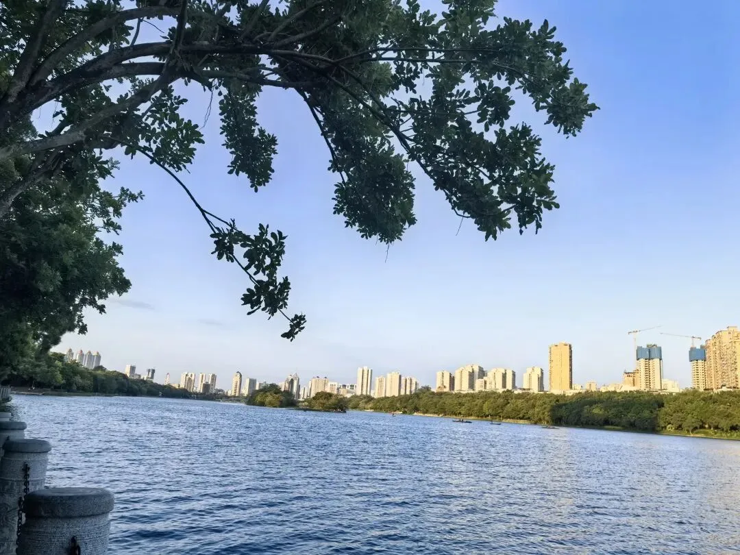 农村小镇做题家,面对“贤妻良母”这套试卷,选择弃考 第1张