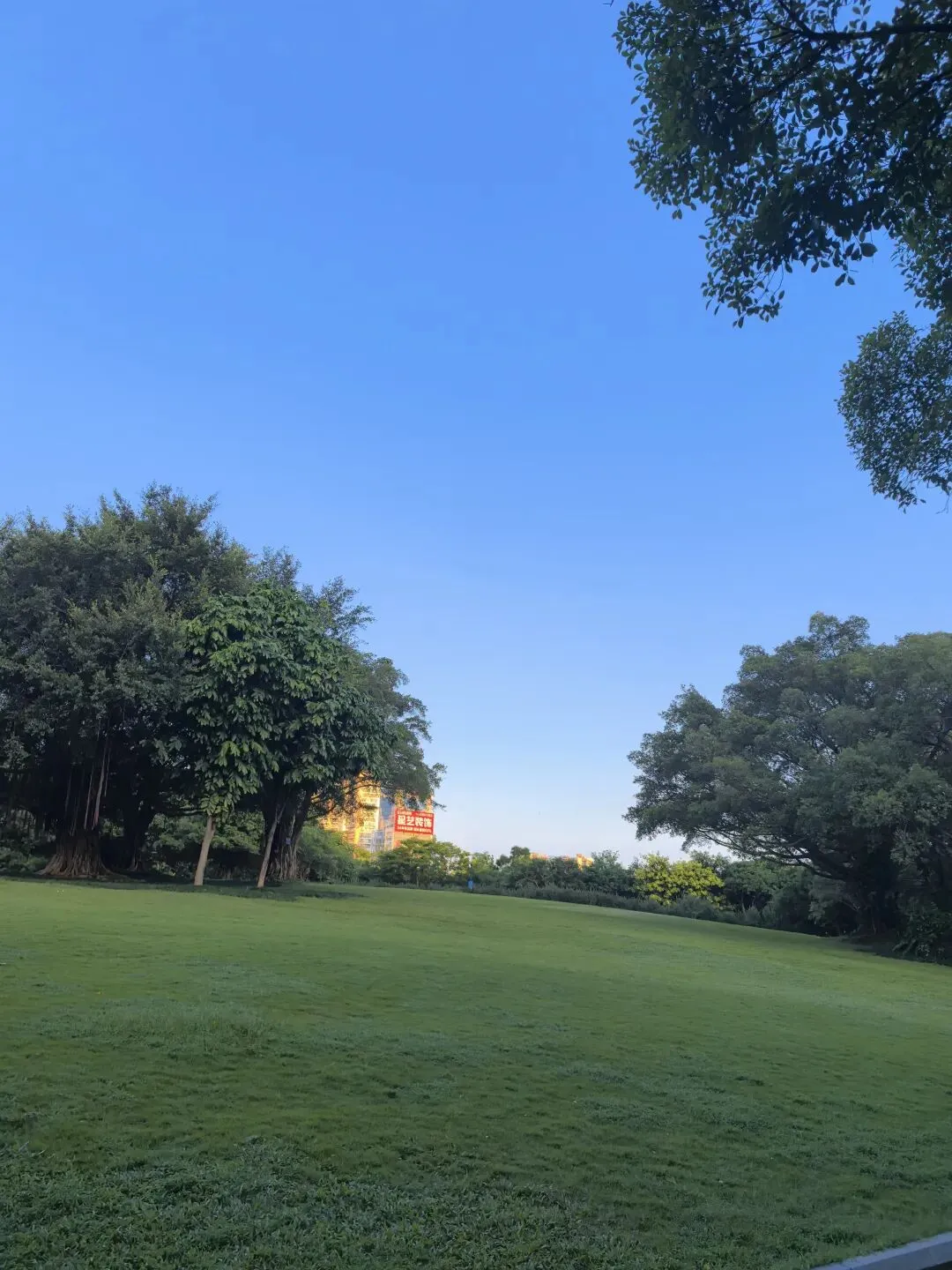 农村小镇做题家,面对“贤妻良母”这套试卷,选择弃考 第2张