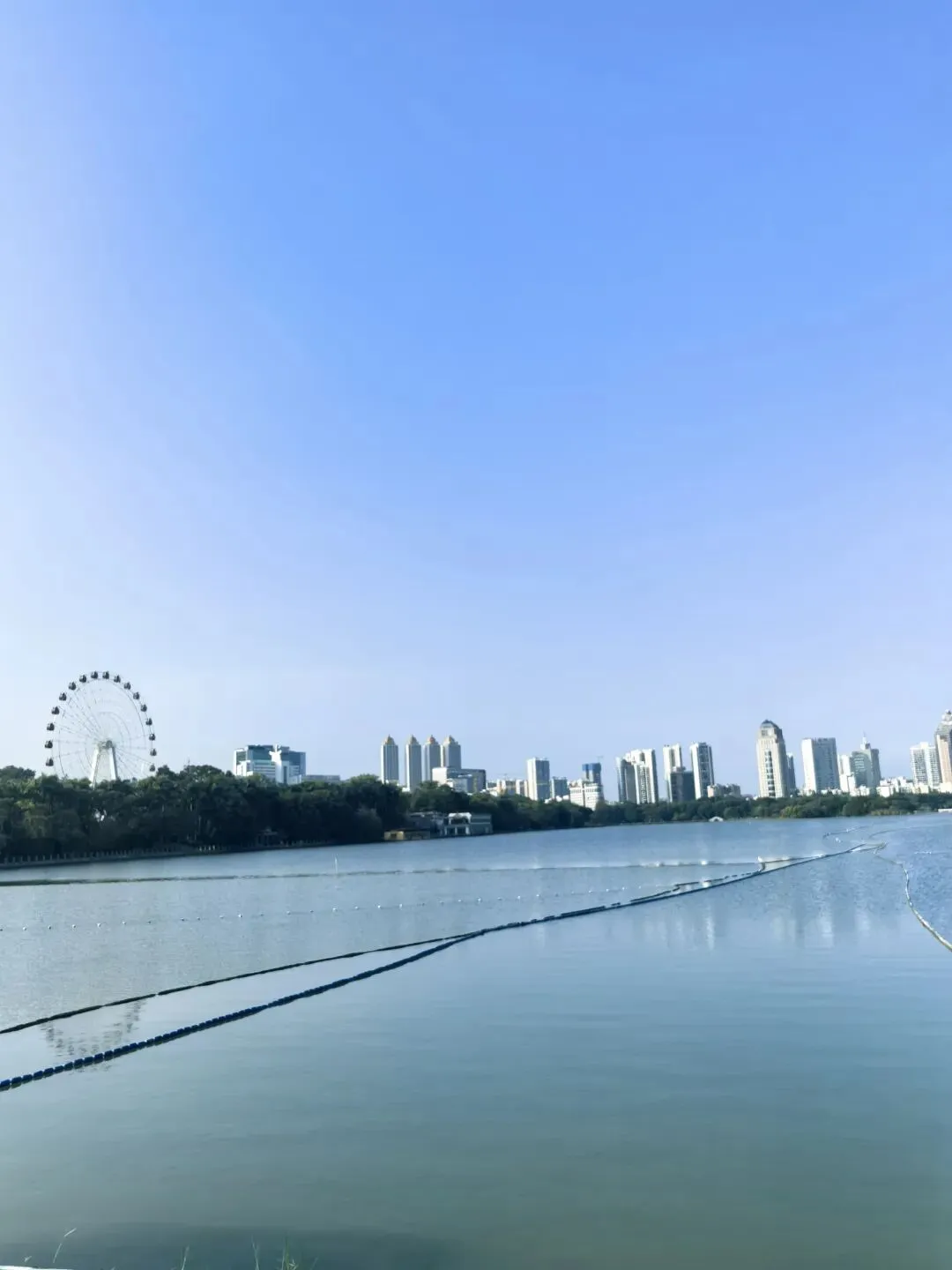 农村小镇做题家,面对“贤妻良母”这套试卷,选择弃考 第3张