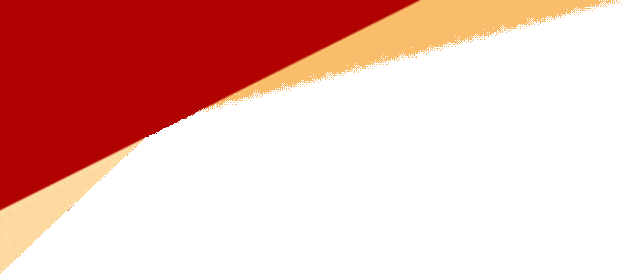 湛江博雅:聚焦中考变革 共研备考良策 | 2026年麻章区中考备考专题培训 第3张