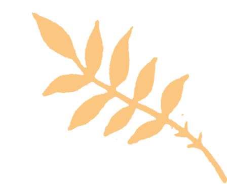 精研复习课,聚力备中考—— 下沙中学九年级英语复习研讨活动圆满举行 第21张