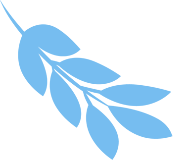 精研复习课,聚力备中考—— 下沙中学九年级英语复习研讨活动圆满举行 第33张