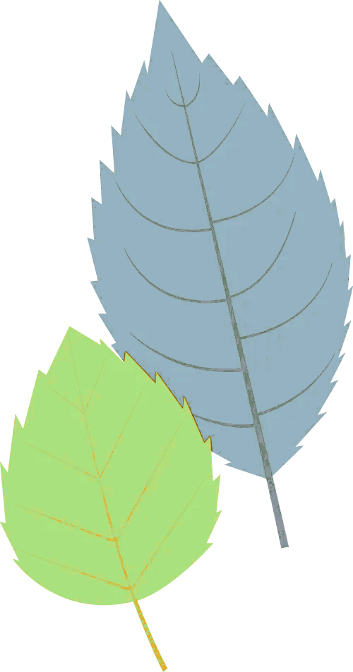 中考英语常考词汇高级替换【共10期】第一期 第7张