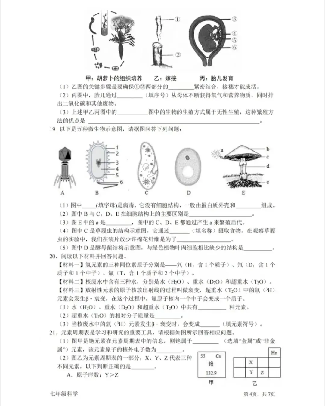 【试卷精选】2026七下科学期中卷(附答案) 第5张
