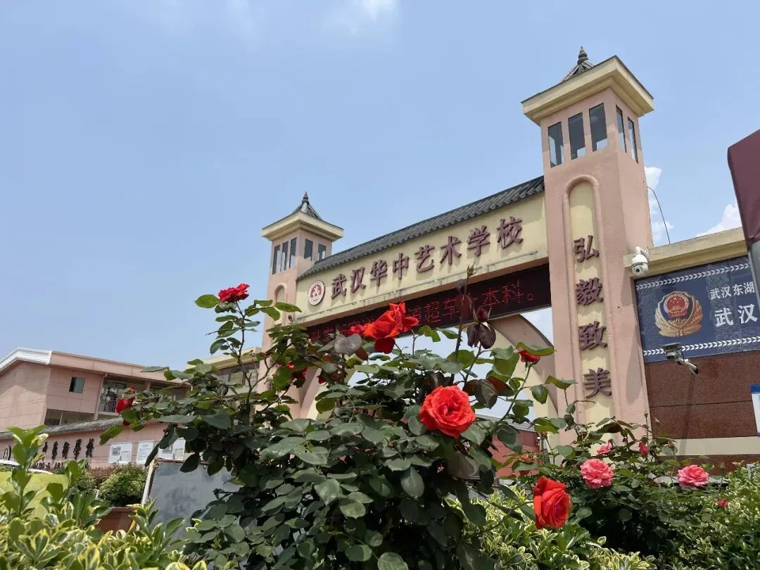中考失利不用怕!华中艺校,圆你本科大学梦 ! 第1张
