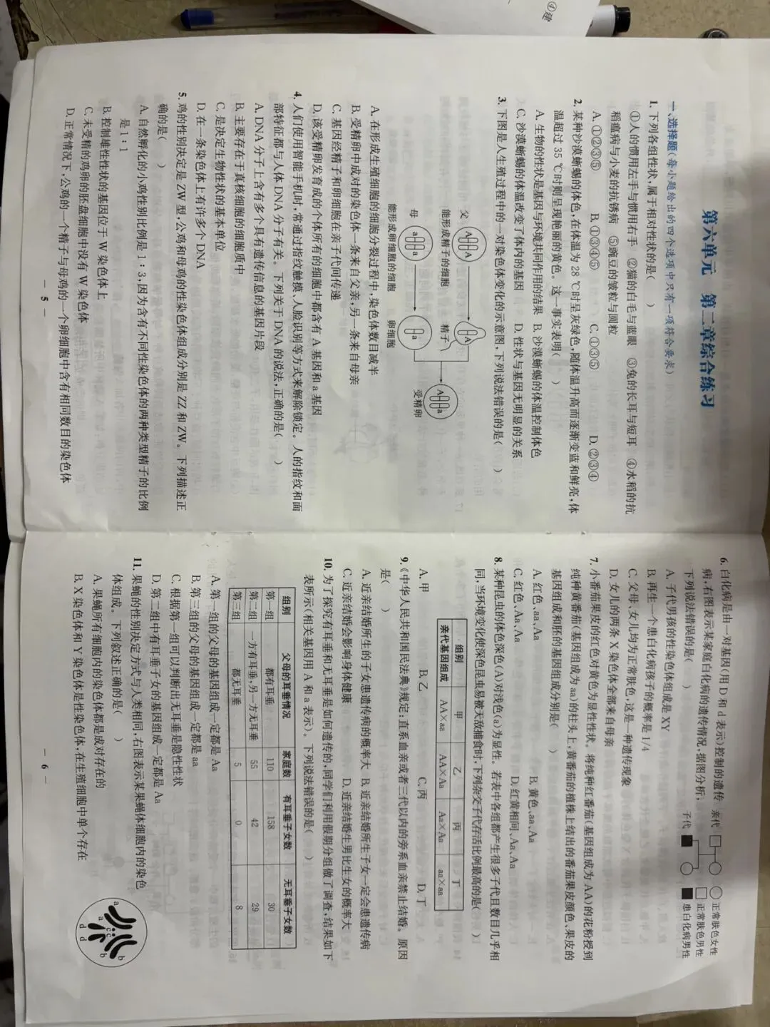 全套新人教八下生物章节试卷 第3张