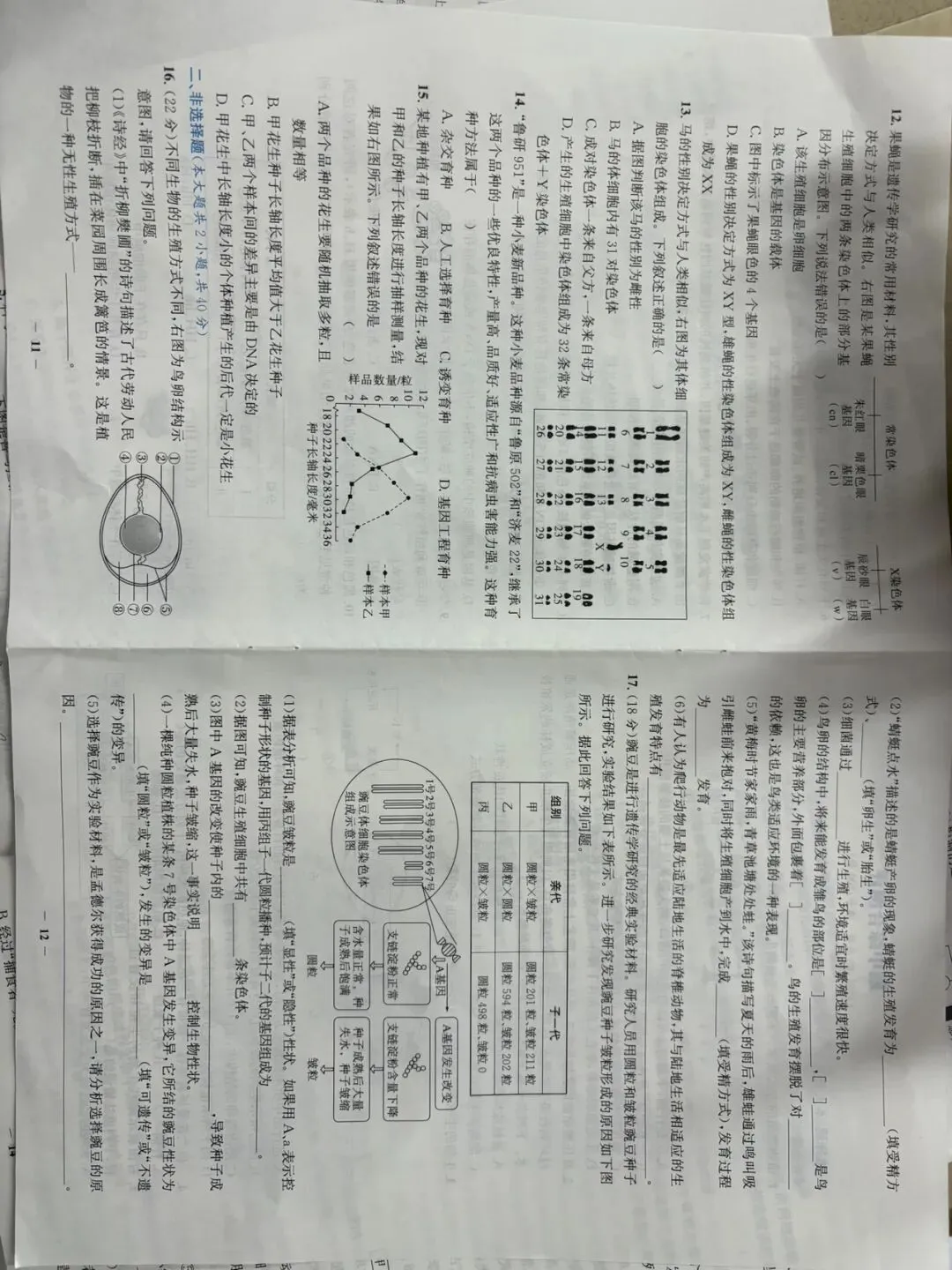全套新人教八下生物章节试卷 第6张