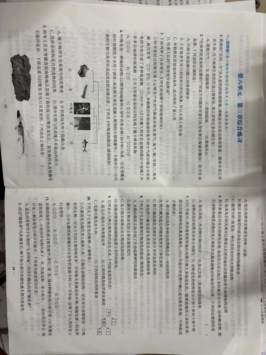 全套新人教八下生物章节试卷 第7张