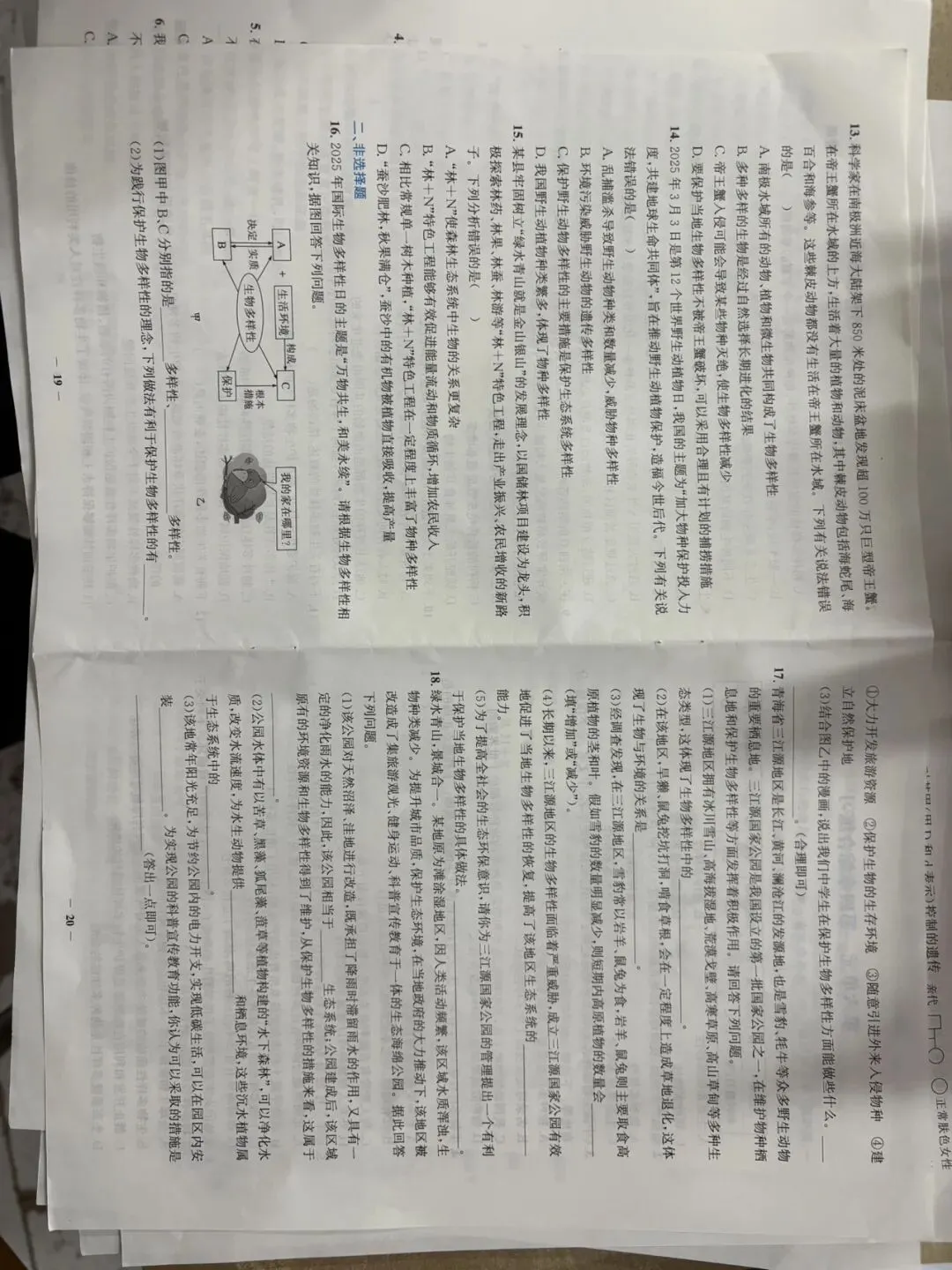 全套新人教八下生物章节试卷 第10张