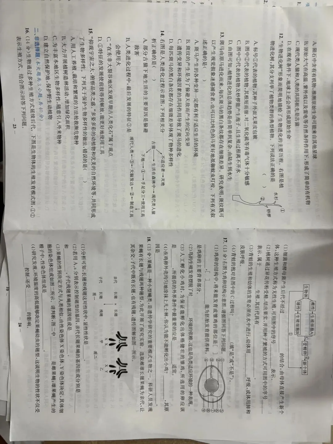 全套新人教八下生物章节试卷 第12张