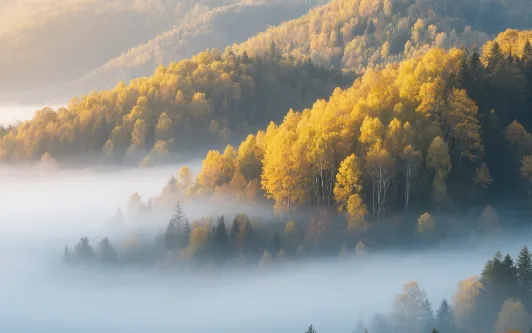 精准教研,赢在中考 | 初中道法历史教研活动圆满收官 第14张