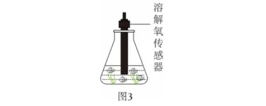 【2026中考化学】考前专项突破:跨学科实践活动|考前必练 第12张