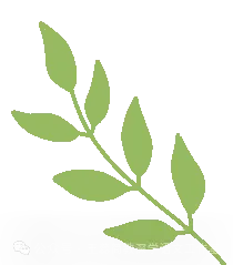 【校园动态】同心共研促备考 携手奋进向中考——城关初中教育集团2026届备考研讨暨观摩交流活动 第7张