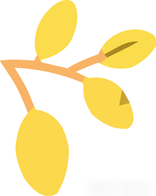 2026春新版(道德与法治)期中培优试卷 第1张