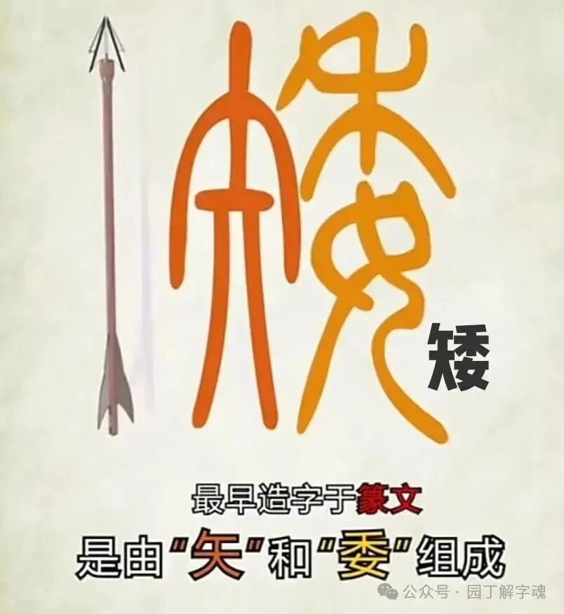 2026 年春季高一年级期中考试语文试卷 第7张