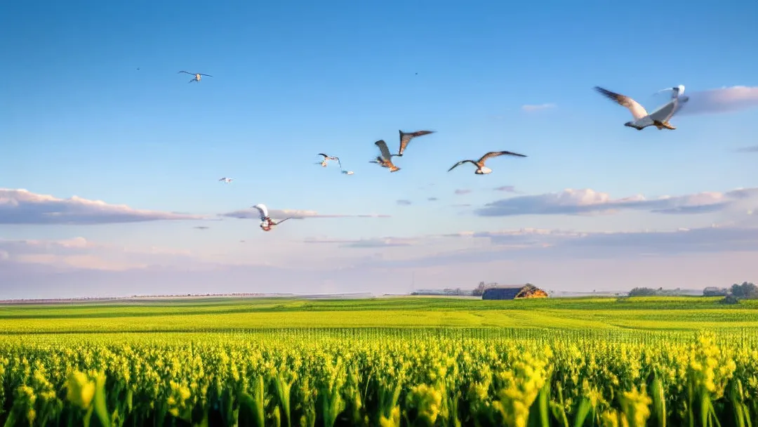 中考倒计时:孩子一考试就“脑子空白”?4个破解法稳住心态 第3张