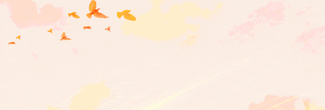 体育中考,开考! 第1张