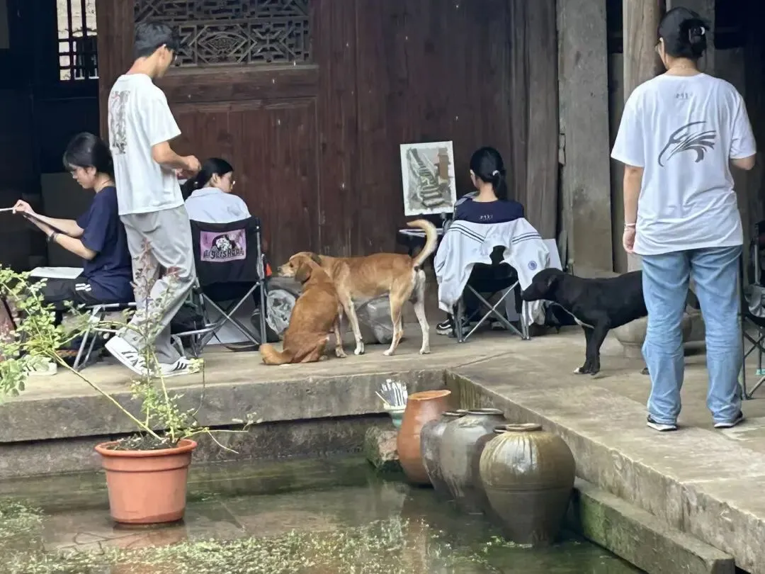 杭州女生中考495分,高考冲进全国名校!选对一所适合的高中,这群孩子照样实现逆袭 第16张