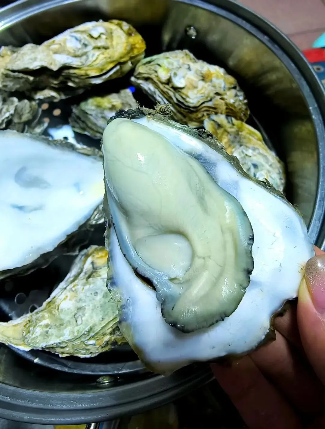 高考地理真题系列——25年辽宁卷5-6题(官方解析) 第1张