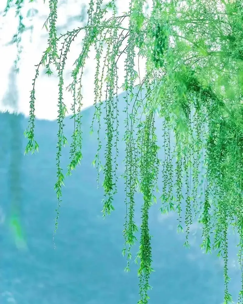 2026年中考模拟考试化学试题15 第11张